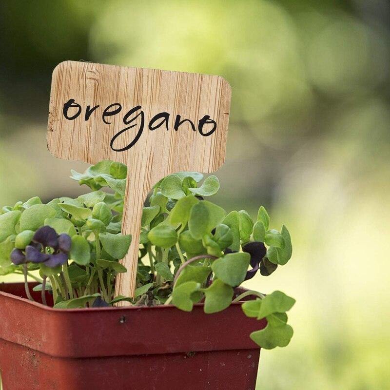 Paxley Wood Plant Labels | Eco-Friendly | Perfect for Garden & Balcony | Marker Tags for Plants