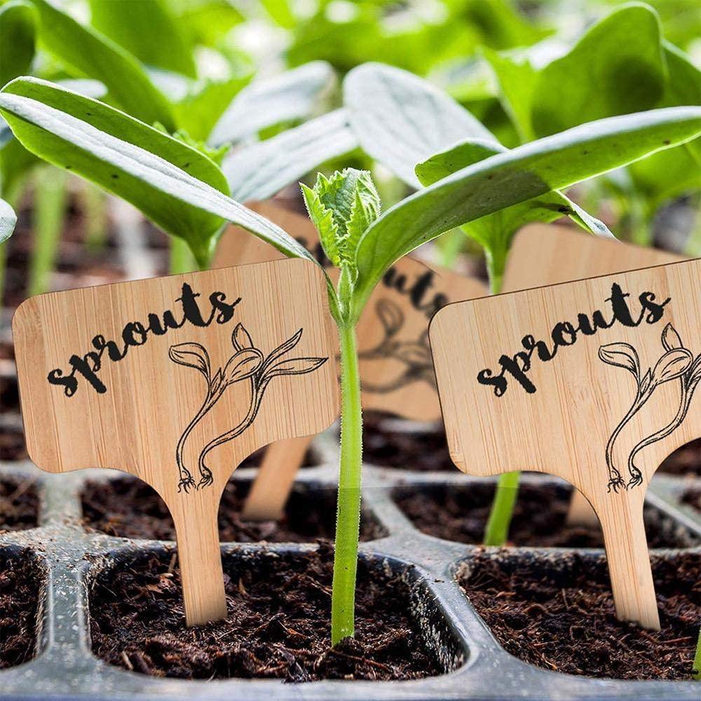 Paxley Wood Plant Labels | Eco-Friendly | Perfect for Garden & Balcony | Marker Tags for Plants