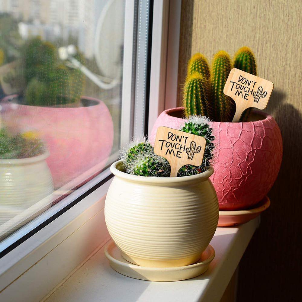 Paxley Wood Plant Labels | Eco-Friendly | Perfect for Garden & Balcony | Marker Tags for Plants