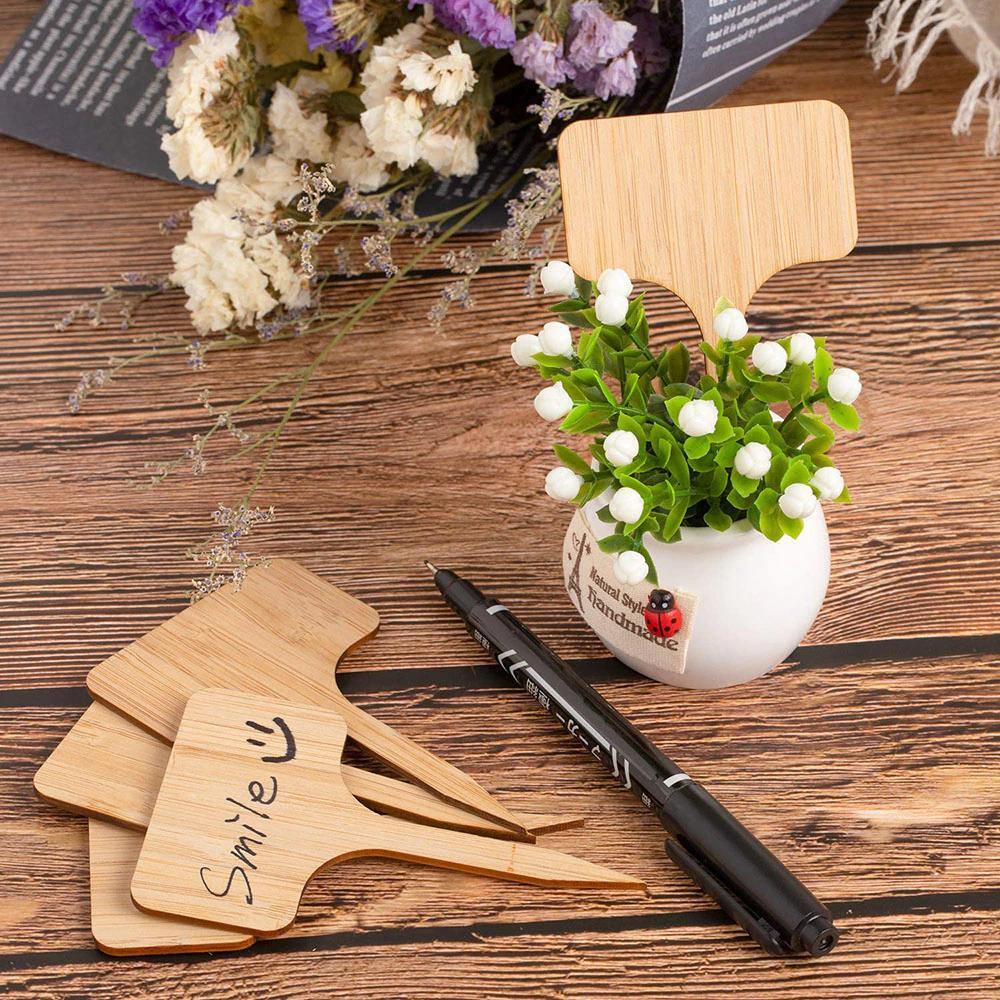 Paxley Wood Plant Labels | Eco-Friendly | Perfect for Garden & Balcony | Marker Tags for Plants