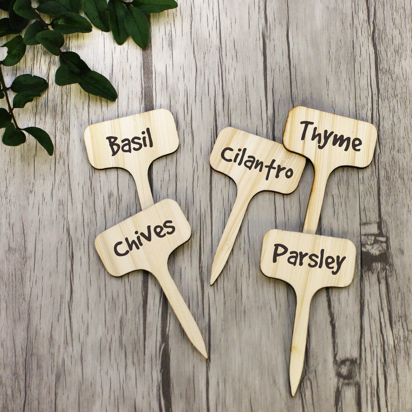 Paxley Wood Plant Labels | Eco-Friendly | Perfect for Garden & Balcony | Marker Tags for Plants
