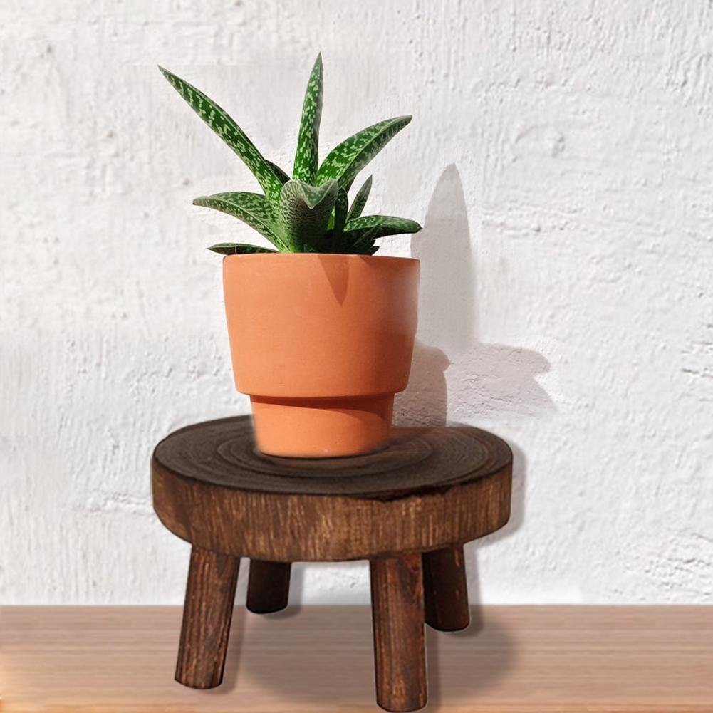 Paxley Wood Plant Stand | Raised Flower Pot Holder | Minimalist Design | Perfect for Living Room