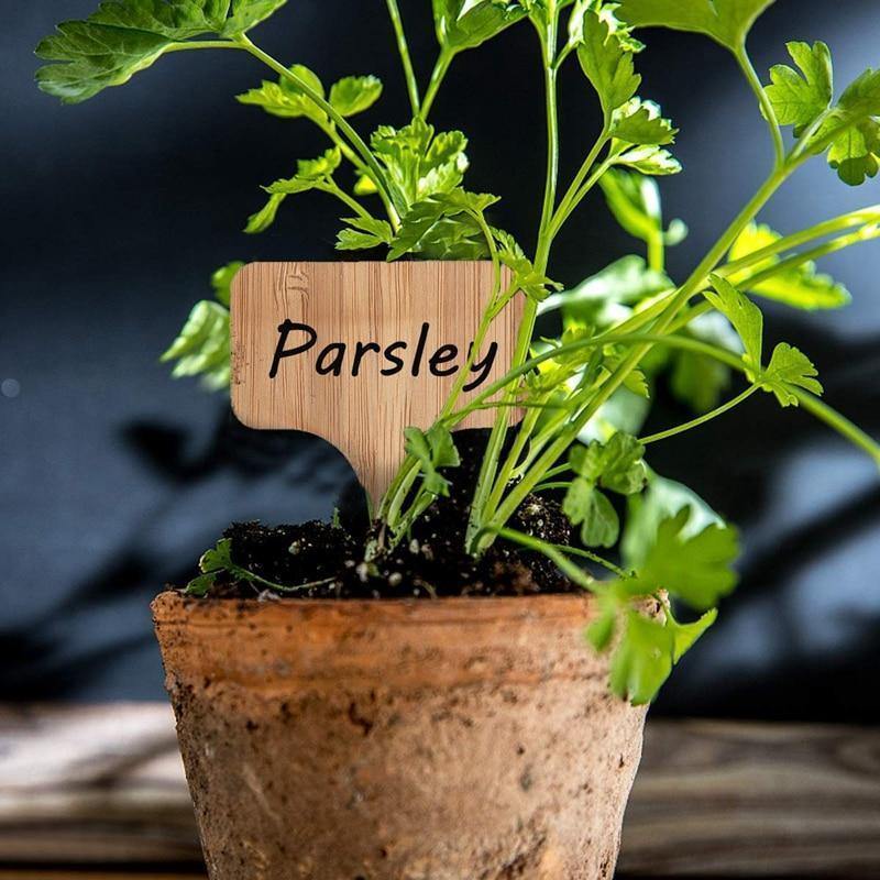 Paxley Wood Plant Labels | Eco-Friendly | Perfect for Garden & Balcony | Marker Tags for Plants