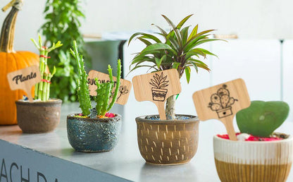 Paxley Wood Plant Labels | Eco-Friendly | Perfect for Garden & Balcony | Marker Tags for Plants