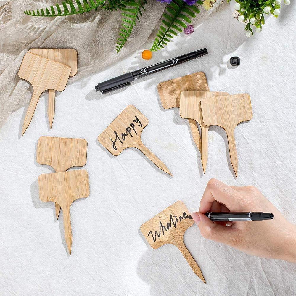 Paxley Wood Plant Labels | Eco-Friendly | Perfect for Garden & Balcony | Marker Tags for Plants