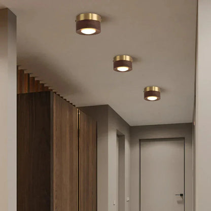 Paxley - Walnut Ceiling Lamp with LED Spotlight