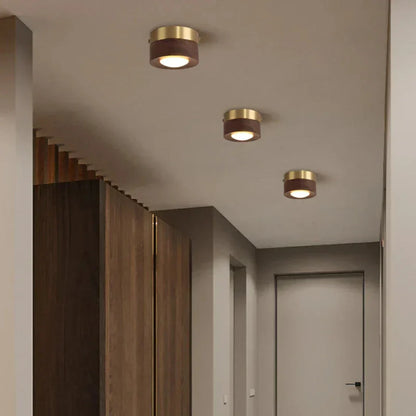 Paxley | Ceiling Light | Wooden LED Spotlight | Compact Mount