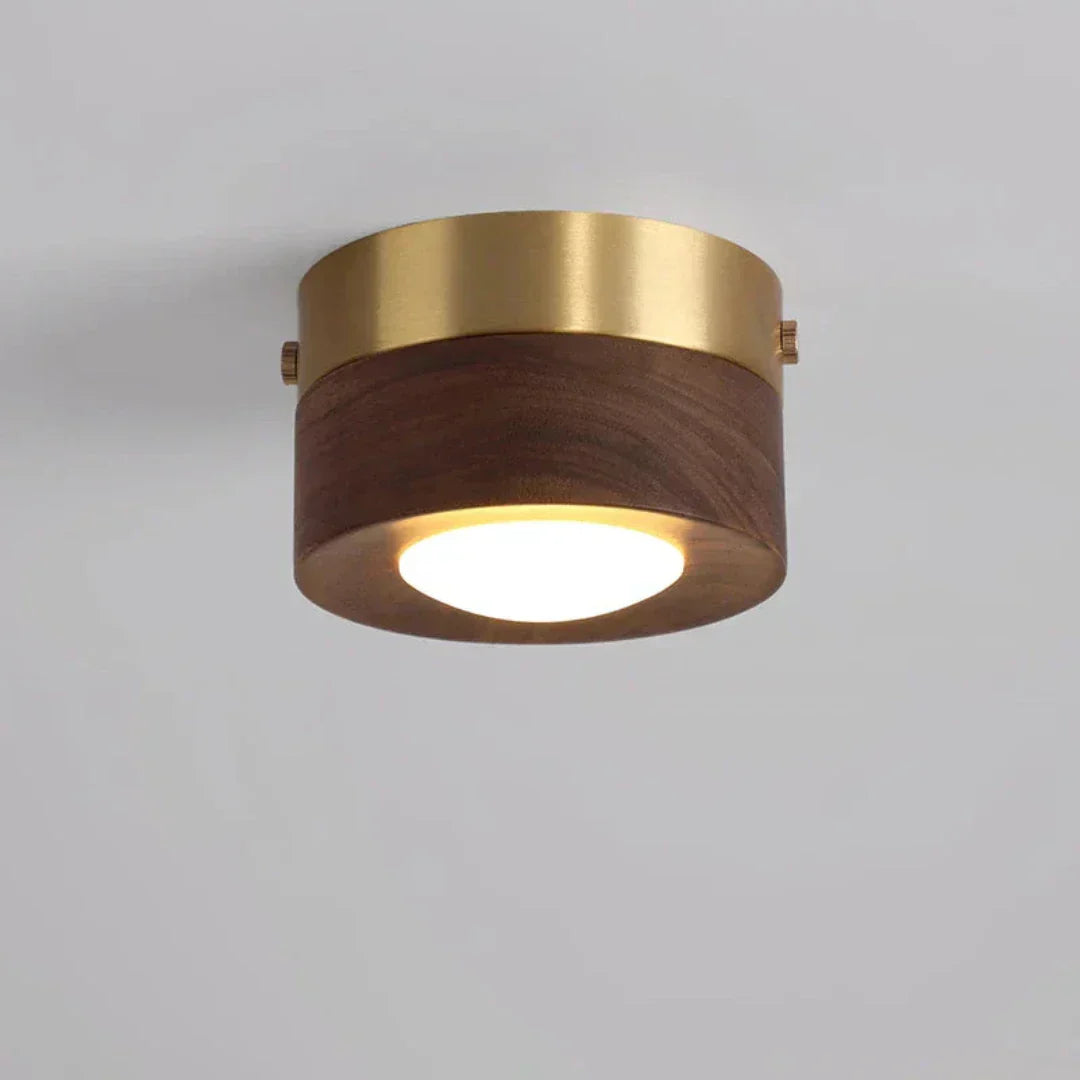 Paxley | Ceiling Light | Wooden LED Spotlight | Compact Mount