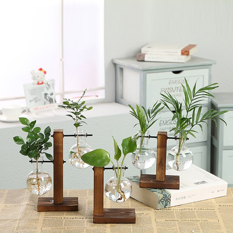Paxley Garden - Wooden Frame Terrarium Hydroponic Plant Vases