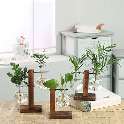 Paxley Garden - Wooden Frame Terrarium Hydroponic Plant Vases