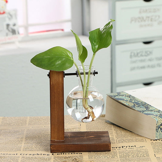 Paxley Garden - Wooden Frame Terrarium Hydroponic Plant Vases