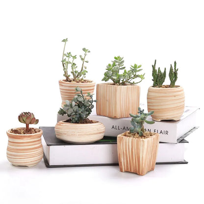 Paxley | Succulent Pots | Striped Ceramic | Set of 6 Default Title