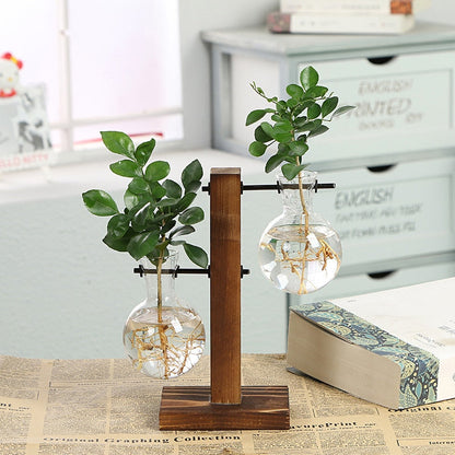 Paxley Garden - Wooden Frame Terrarium Hydroponic Plant Vases