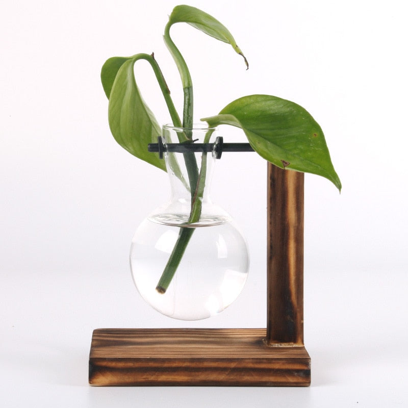 Paxley Garden - Wooden Frame Terrarium Hydroponic Plant Vases
