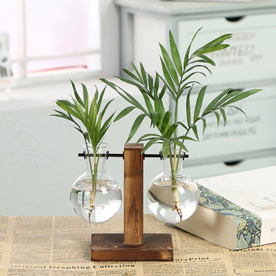 Paxley Garden - Wooden Frame Terrarium Hydroponic Plant Vases