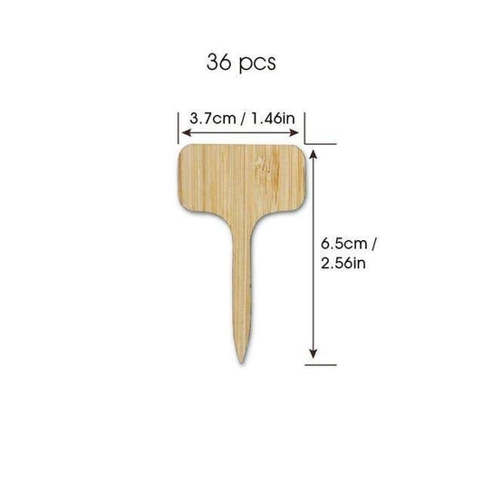 Paxley Wood Plant Labels | Eco-Friendly | Perfect for Garden & Balcony | Marker Tags for Plants