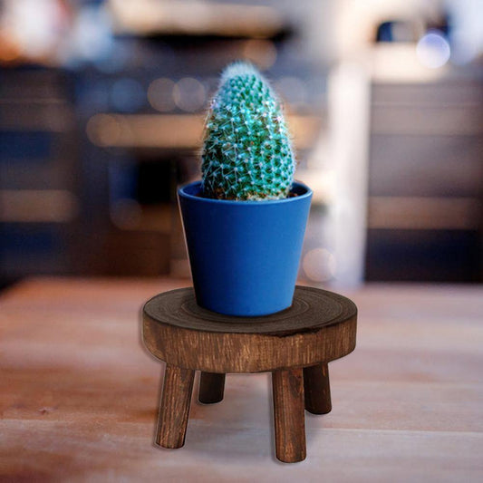 Paxley Wood Plant Stand | Raised Flower Pot Holder | Minimalist Design | Perfect for Living Room