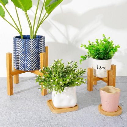 Paxley | Plant Stand | Bamboo Construction | Indoor Holder